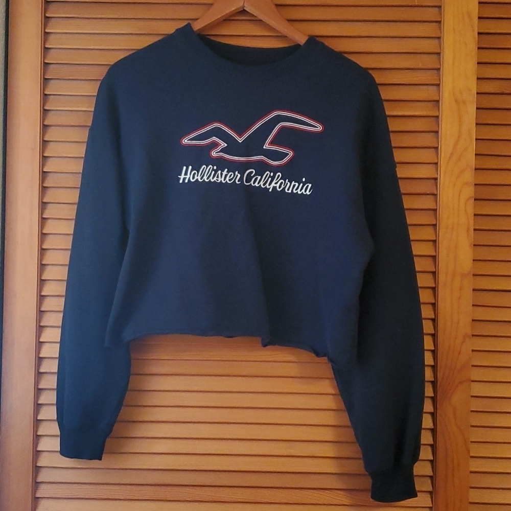 Hollister Sweatshirt